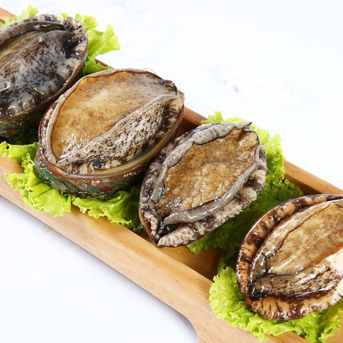 鮑魚-粵崗蔬菜配送